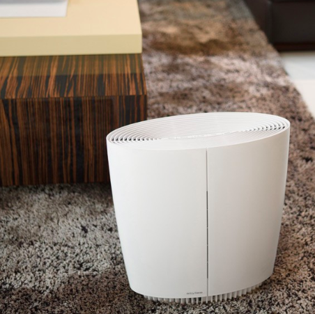 Stylies Pegasus Luftrenser